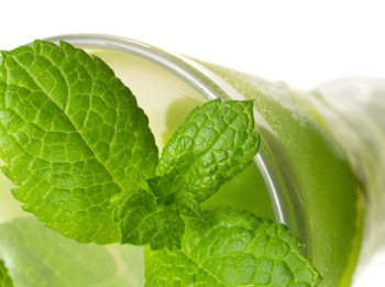 Jeffrey Morgenthaler | Mojito